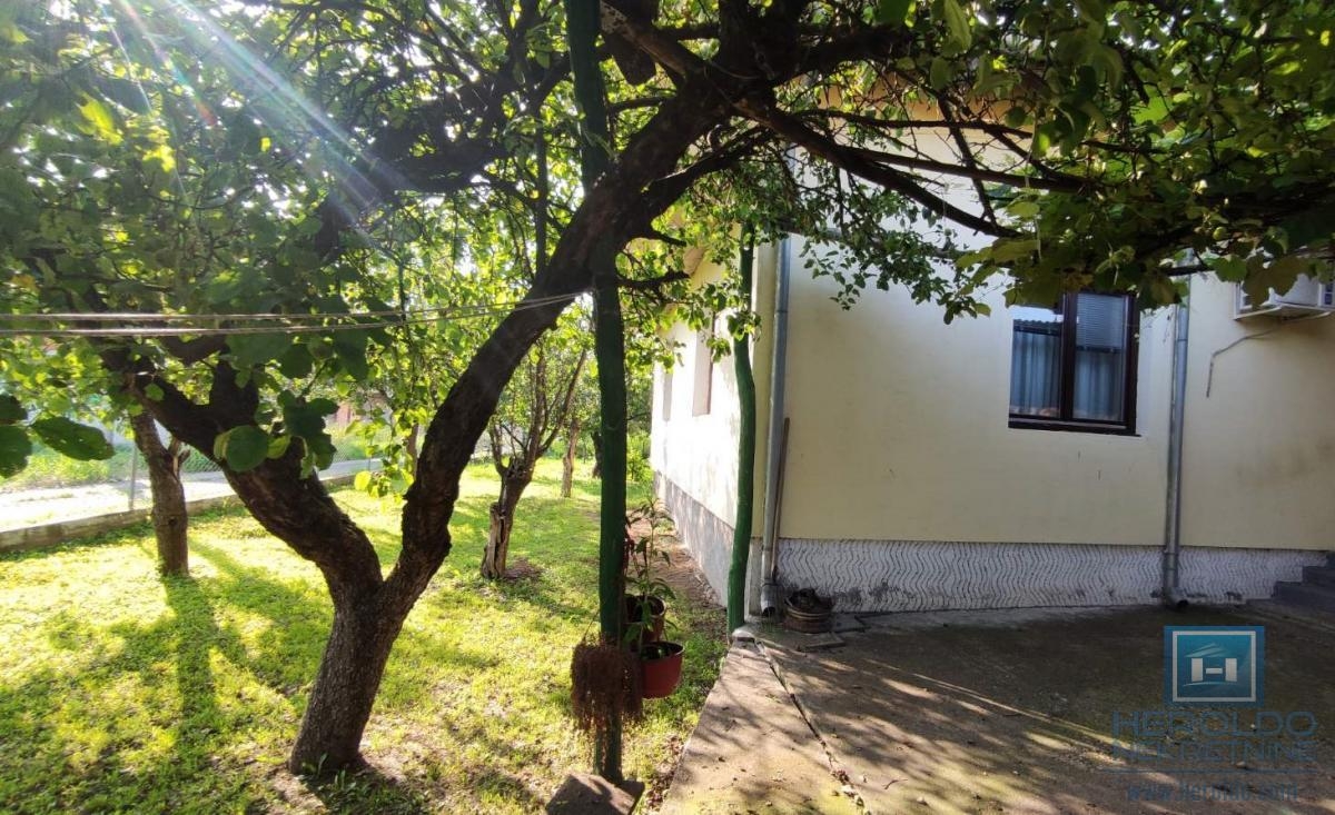 A house with a higher price in Jagodina