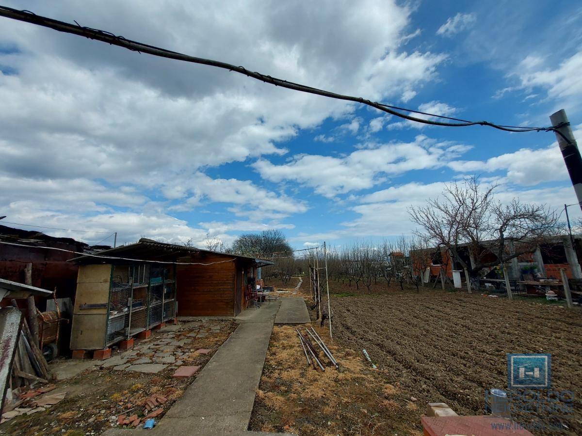 Veliki, lep plac sa objektom od 30m2 i 186 lešnika