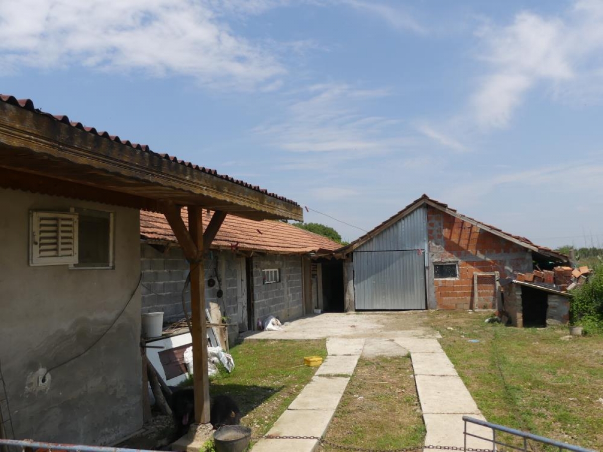 House on a spacious plot