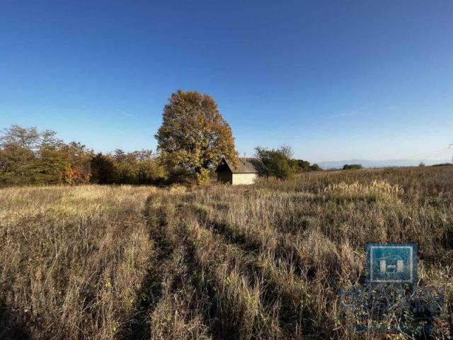 cottage on 341.21 acres of land