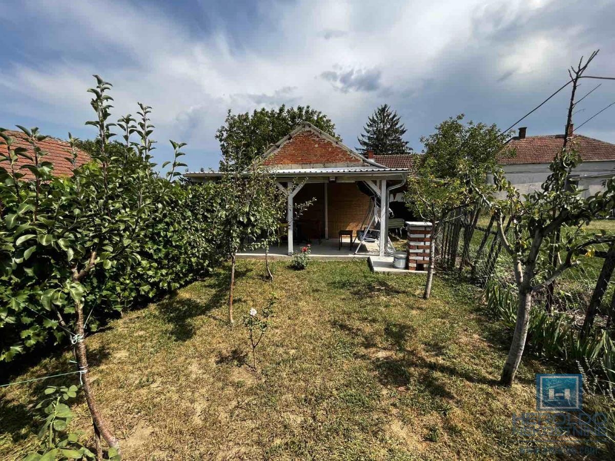 Ground floor cottage with a large plot