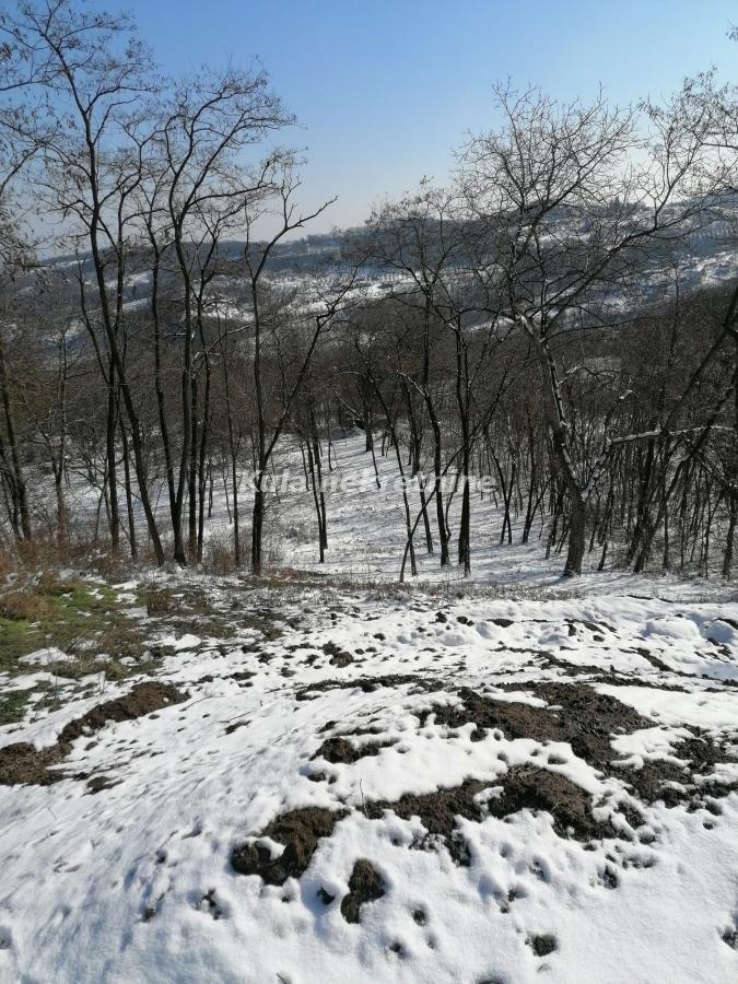 Prodaje se plac na Gučkom putu