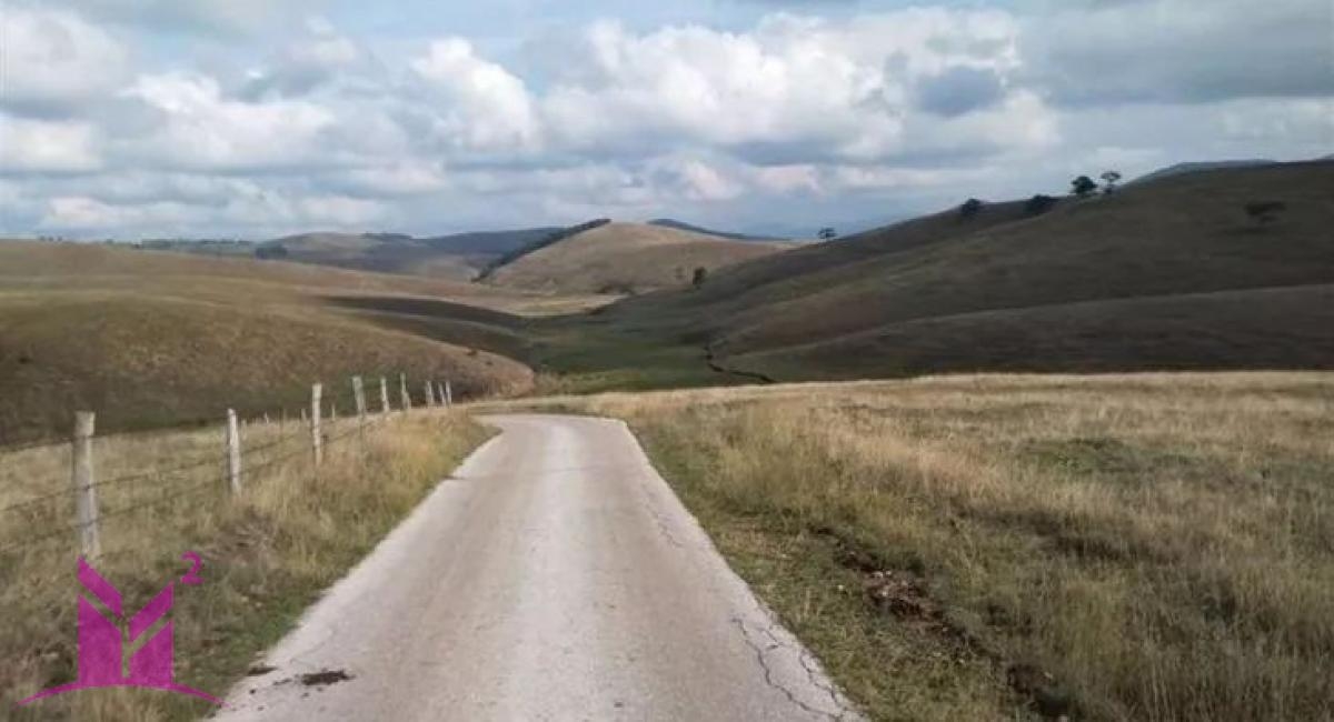 Zlatibor-Gajevi