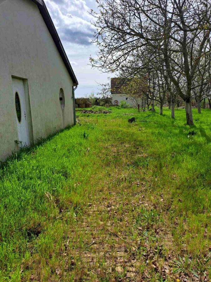 Dva građevinska placa na Palićkom jezeru