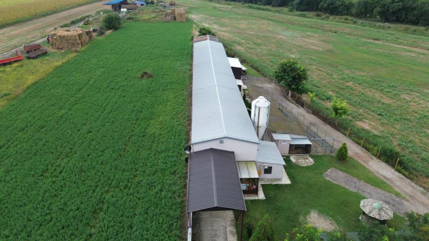 Farma za uzgoj pilića