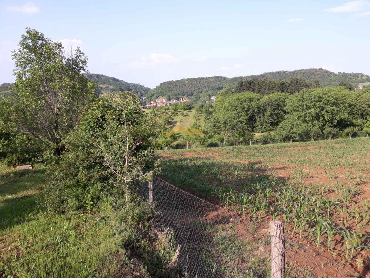 KUPI BEZ PROVIZIJE! Oaza Potencijala i Prirodne Lepote: Plac u Beočinu čeka na Vašu Viziju