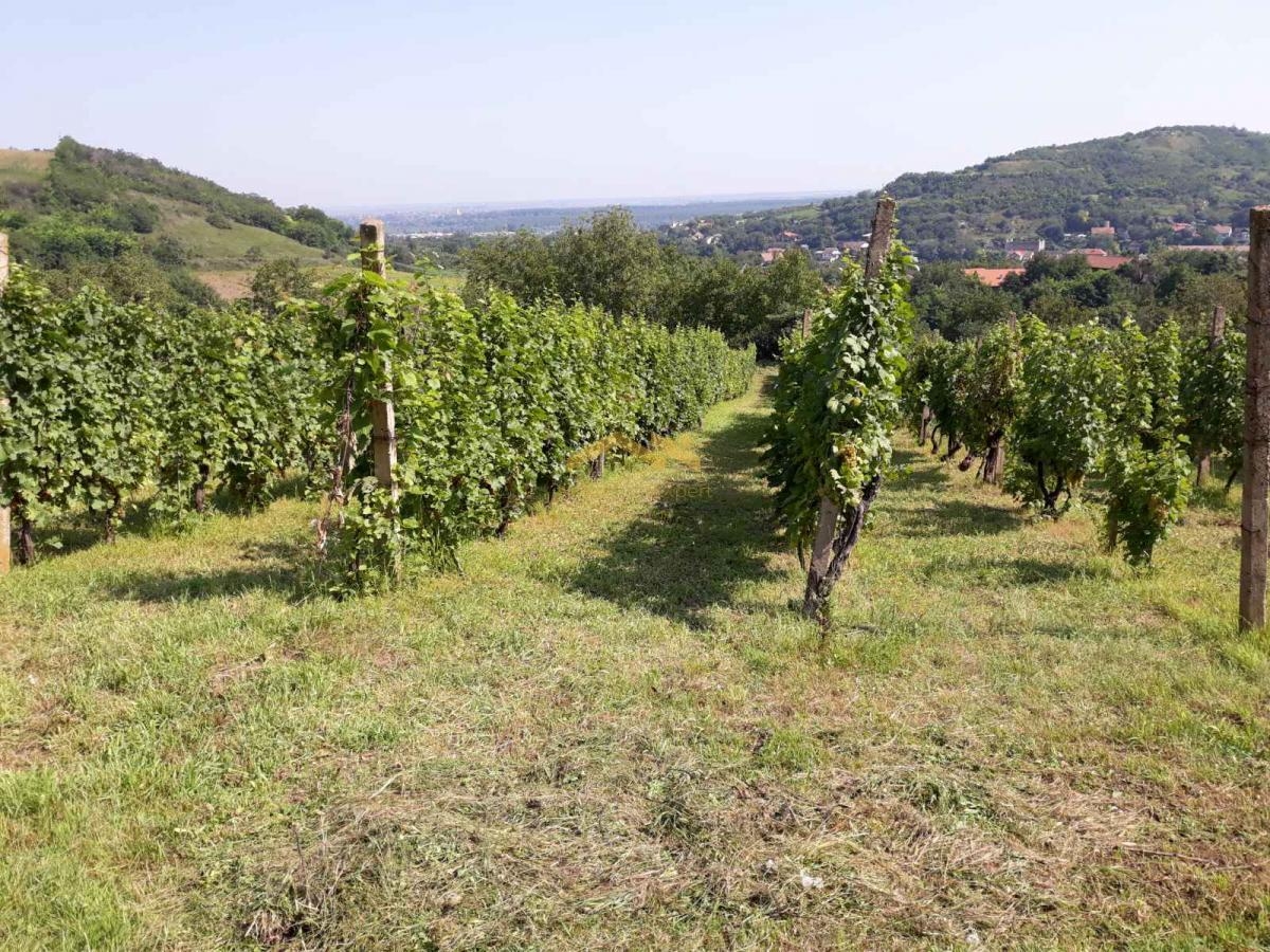 KUPI BEZ PROVIZIJE! Oaza Potencijala i Prirodne Lepote: Plac u Beočinu čeka na Vašu Viziju