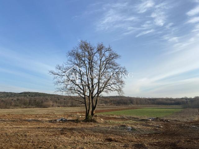 Istrien - Bale, Äußerst wertvolles landwirtschaftliches Land 11.200 m2