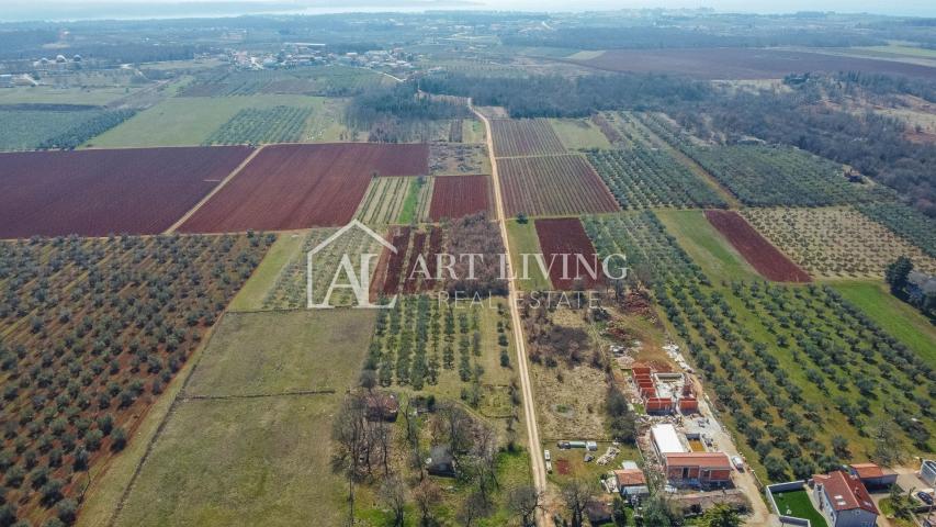 Novigrad surroundings - attractive land in a TOP position in the T3 zone, investment opportunity