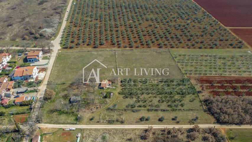 Novigrad surroundings - attractive land in a TOP position in the T3 zone, investment opportunity