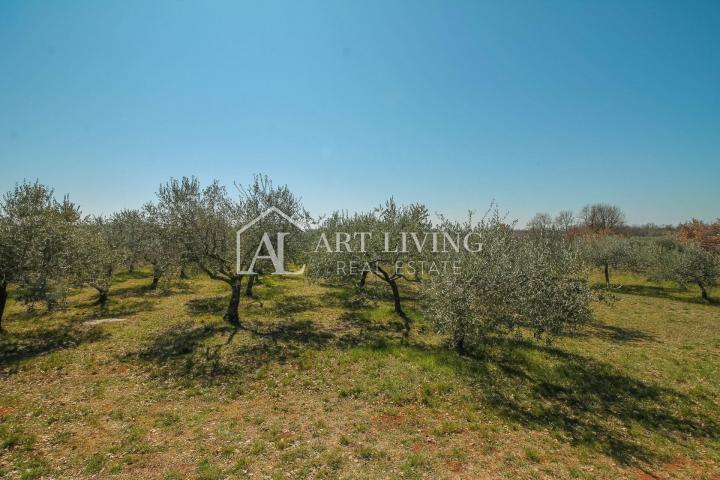 Novigrad surroundings - attractive land in a TOP position in the T3 zone, investment opportunity