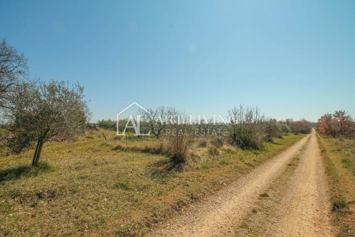 Novigrad surroundings - attractive land in a TOP position in the T3 zone, investment opportunity