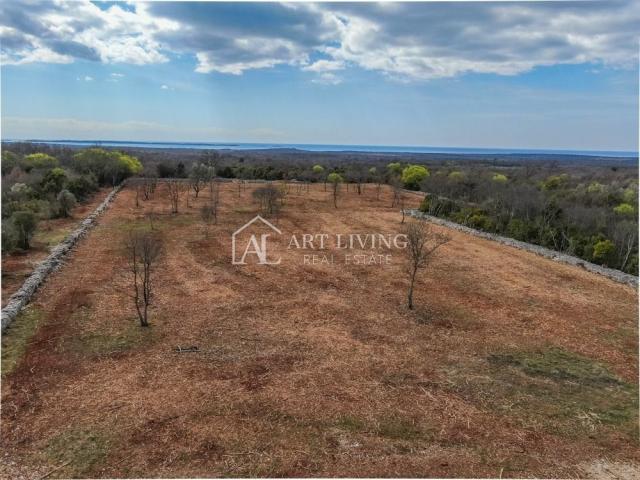 Bale, Agricultural land surrounded by dry stone walls, 11,470 m2