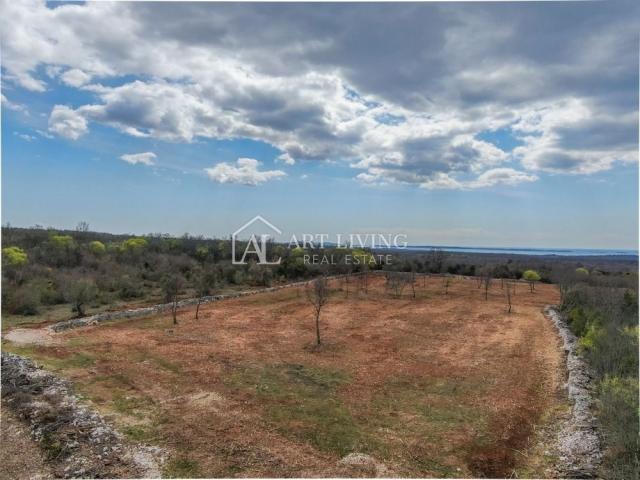 Bale, Agricultural land surrounded by dry stone walls, 11,470 m2