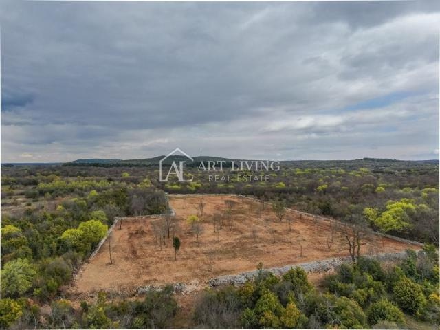 Bale, Agricultural land surrounded by dry stone walls, 11,470 m2