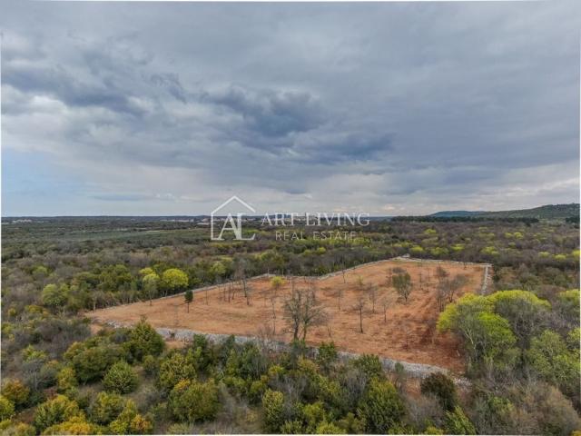 Bale, Agricultural land surrounded by dry stone walls, 11,470 m2