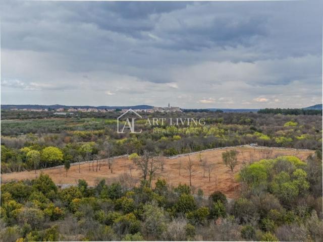 Bale, Agricultural land surrounded by dry stone walls, 11,470 m2