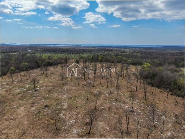 Bale, Agricultural land surrounded by dry stone walls, 11,470 m2