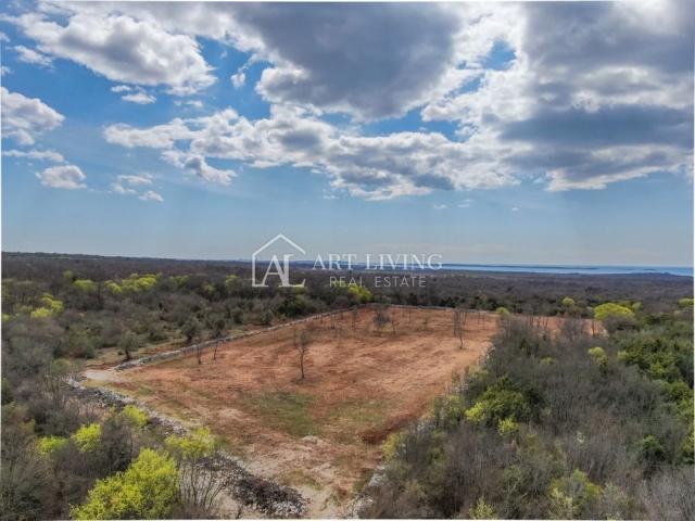 Bale, Agricultural land surrounded by dry stone walls, 11,470 m2