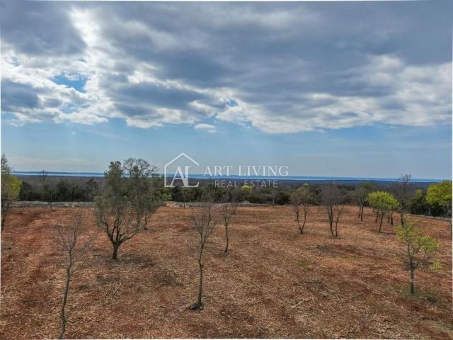 Bale, Agricultural land surrounded by dry stone walls, 11,470 m2