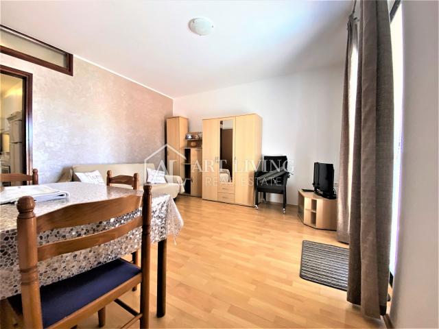 Umag -okolica, apartmanska vila 150m od mora