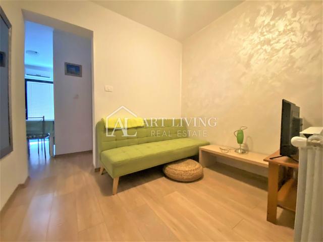 Umag -okolica, apartmanska vila 150m od mora