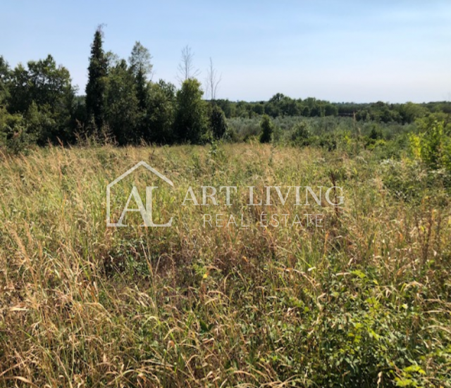 Novigrad-okolica, građevinsko zemljište 3618 m2 s pogledom na more