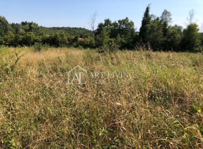 Novigrad-okolica, građevinsko zemljište 3618 m2 s pogledom na more