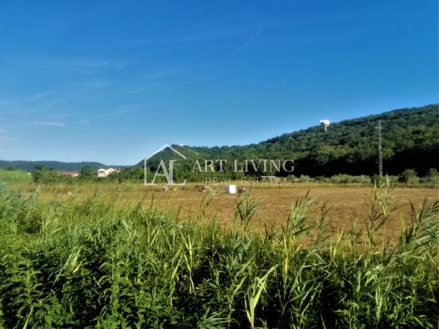 Buje-surroundings, beautiful agricultural land 5100 m2