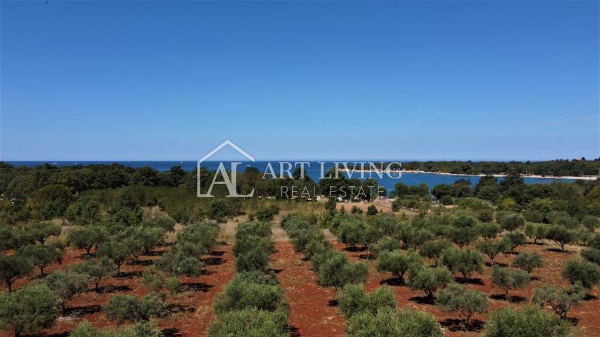 Poreč, eine luxuriöse Villa mit außergewöhnlichem Design, 300 m vom Meer entfernt