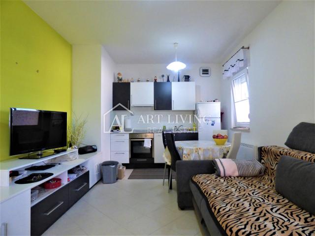 Apartment Novigrad, 45,16m2