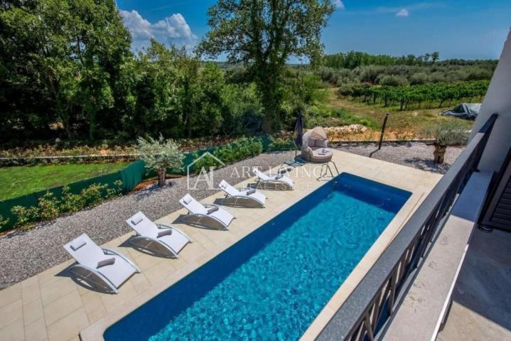 Novigrad-surroundings, charming villa with pool, newly built