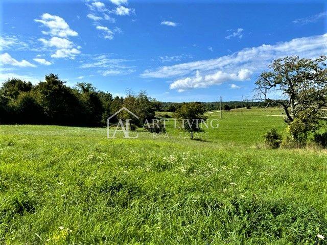 Grožnjan-surroundings, attractive building plot 7000 m2