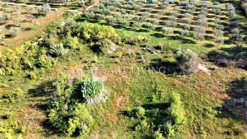 Umag-surroundings, building plot 640 m2 in an attractive location