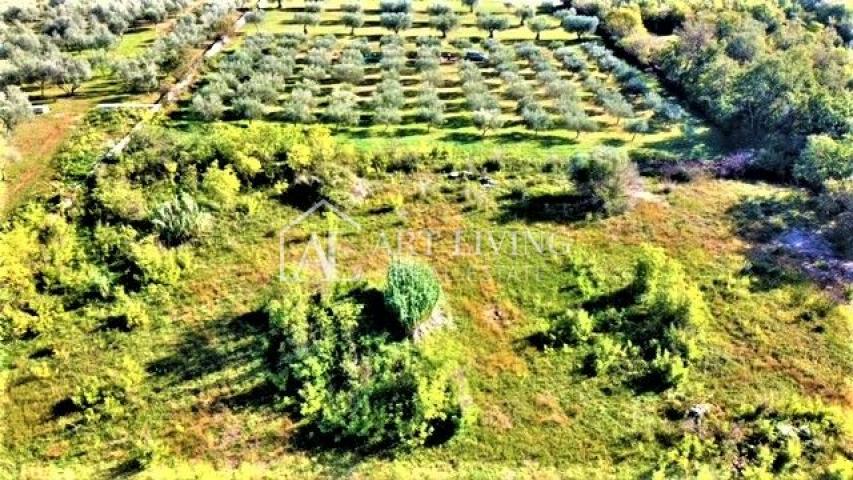 Umag, building plot 880 m2 in an attractive location