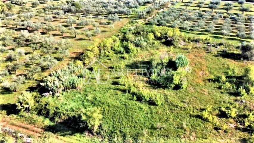 Umag, building plot 880 m2 in an attractive location