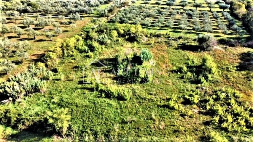 Umag, building plot 880 m2 in an attractive location