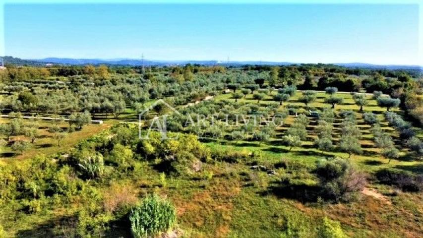 Umag, Baugrundstück 880 m2 in attraktiver Lage