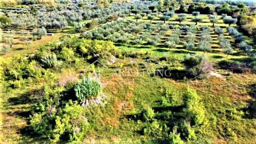 Umag-surroundings, building plot 560 m2