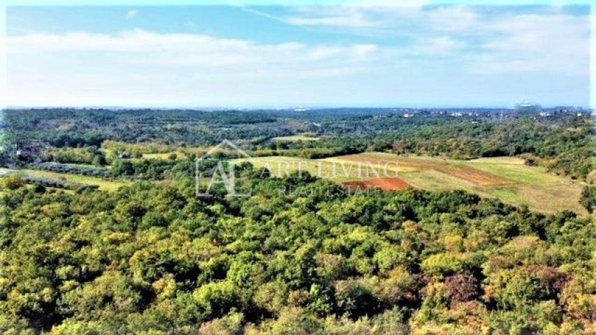 Umag-okolica, atraktivno građevinsko zemljište 670 m2