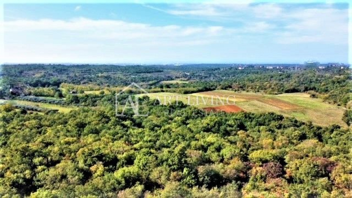 Umag-okolica, atraktivno građevinsko zemljište 3900 m2 