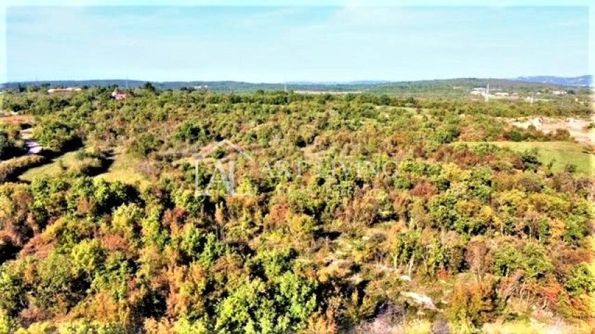 Umag-surroundings, attractive agricultural land 48660 m2