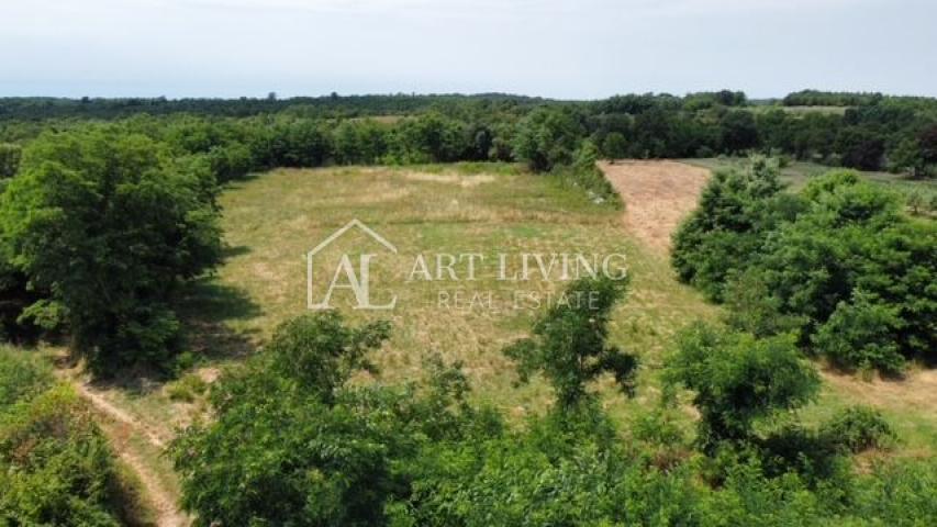 Poreč - surroundings, building plot in a quiet and beautiful village 14 km from the sea