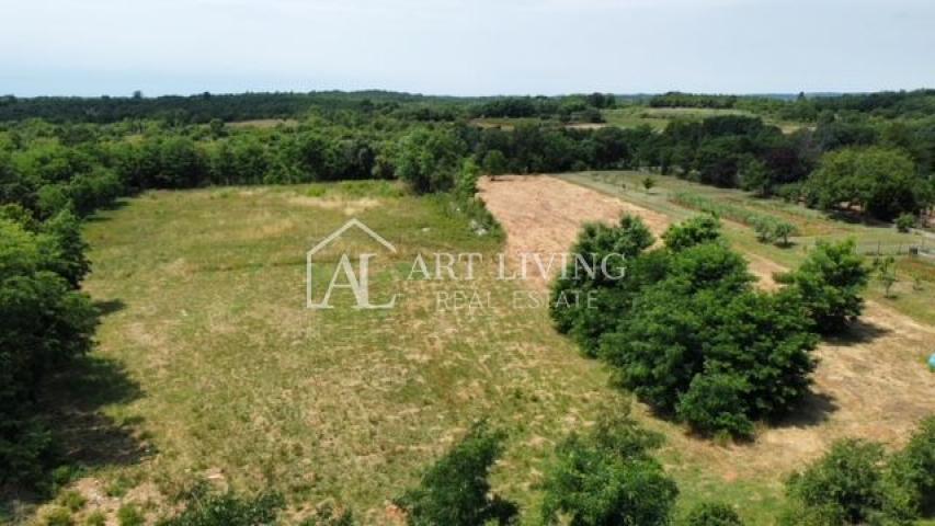 Poreč - surroundings, building plot in a quiet and beautiful village 14 km from the sea