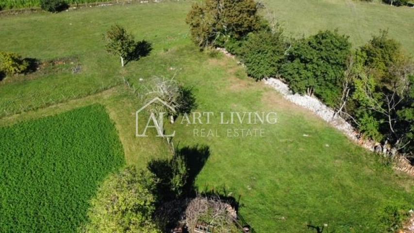 Žminj - surroundings, autochthonous Istrian estate in the center of Istria