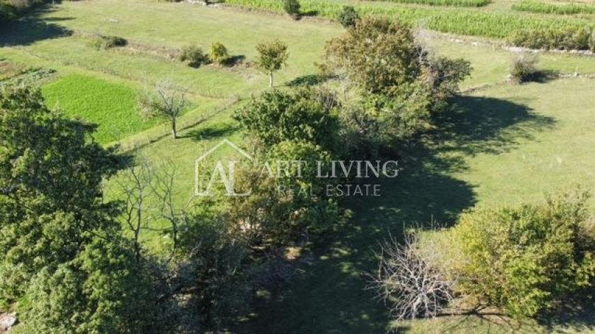 Žminj - surroundings, autochthonous Istrian estate in the center of Istria