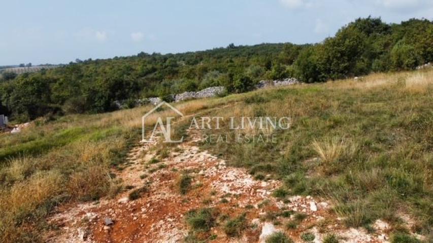 Brtonigla - surroundings, attractive building plot in an idyllic quiet location