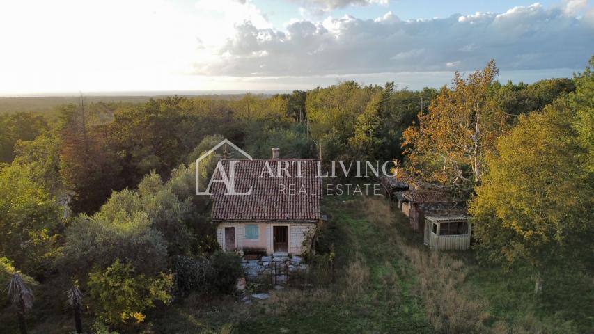 Umag, Umgebung - GELEGENHEIT!! Steinhaus zur Anpassung auf einem fantastischen Grundstück