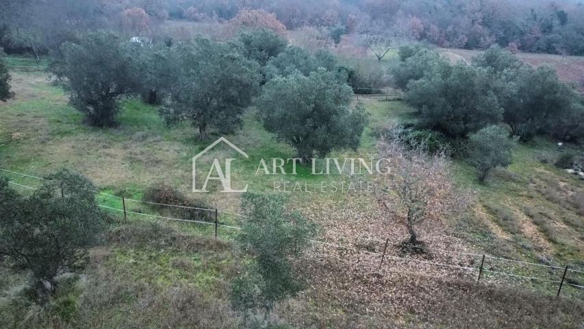 Istra, Rovinj, okolica - šarmantna kuća sa velikim zemljištem