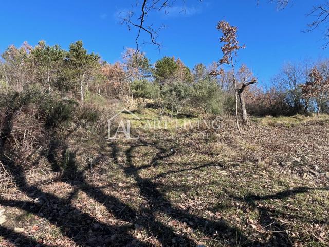 ISTRA, GROŽNJAN, okolica - prelijepo građevinsko zemljište s otvorenim panoramskim pogledom na more